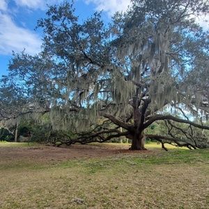 Meet your Posher, Salman